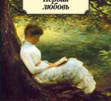 Cartea "Prima dragoste", Turgenev IS: recenzii, analiza lucrării și descrierea