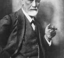 Cartea lui Sigmund Freud "Psihopatologia vieții de zi cu zi": descriere, caracteristici…
