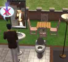 Codul dezvoltatorului pentru "Sims 2": caracteristici