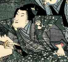 Codul lui Bushido - onoarea și viața samurailor. Istoria Codului Bushido