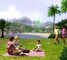 Trucuri pentru "The Sims 3": la sarcini adolescente și alte cheats