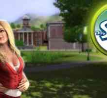 Trucuri pentru "The Sims 3" pentru bani: cum să te îmbogățești fără probleme?