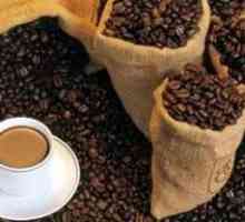 Cafea `Lyuvak` - cea mai scumpa si ambigua in lumea de cafea