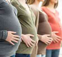 Când se formează placenta în timpul sarcinii, norma și patologia dezvoltării