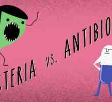 Când funcționează antibioticul? Antibiotice cu un spectru larg de acțiune de nouă generație
