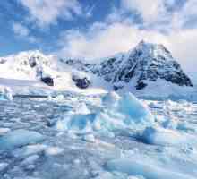 Când au descoperit Antarctica? Aflați în ce secol Antarctica a fost descoperită