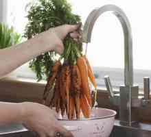 Când să eliminați morcovii din grădină pentru depozitare?