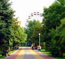 Ferris (Lazarevskoe): înălțime, recenzii. Parcul de distracții din orașul Lazarevski