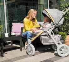 Stroller Happy Baby Neon Sport: recenzii clienți și descriere