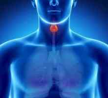Nodurile coloidale ale glandei tiroide: simptome și tratament