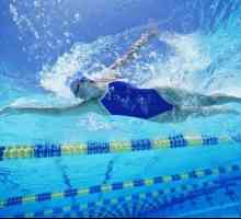 Marinarul de înot - atât novice, cât și profesioniști