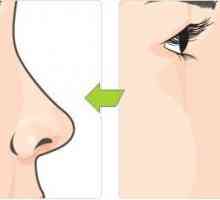 Columella nas. Forma și structura nasului