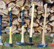 Lăcustă de lemn: forța și frumusețea manualelor