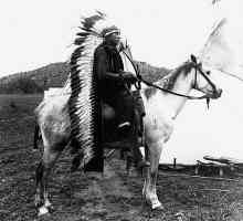 Comanche - indieni din câmpiile americane. Istorie și fotografii
