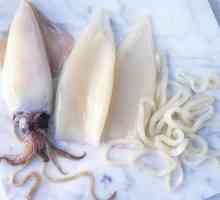 Comandă squid: proprietăți utile, rețete de gătit