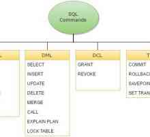 Comenzi de interogare SQL