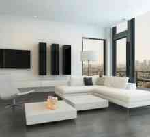 Cameră în stilul minimalismului: mobilier, perdele, lămpi
