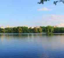 Lacul Komsomolskoye: Peter, Minsk și Nizhnevartovsk