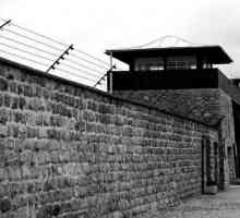 Tabăra de concentrare din Mauthausen în Austria: fotografie. Prizonieri din lagărul de concentrare…