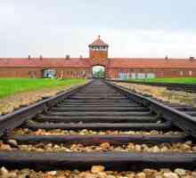 Tabăra de concentrare Auschwitz este locul cel mai inuman pe Pământ