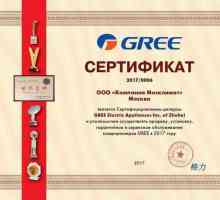 Gree aparat de aer condiționat: manual de instrucțiuni, specificații, recenzii