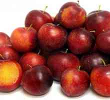 Conservarea prunelor - rapidă, simplă și gustoasă