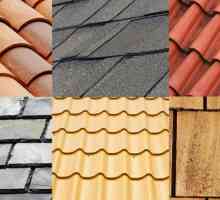 Construcția acoperișului: tipuri de acoperișuri și tipurile acestora