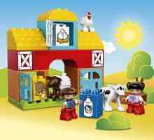 Constructorul "Lego Hollow: Farm". Descriere și recenzii
