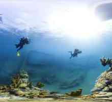 Coral reef. Marele Coral Reef. Lumea subacvatică a recifelor de corali