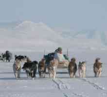 Popoarele indigene din Arctica. Care sunt oamenii indigeni ai Arcticii?