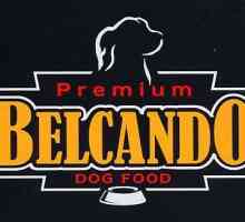 Alimentele Belcando pentru câini: proprietăți utile, preț, recenzii de proprietar