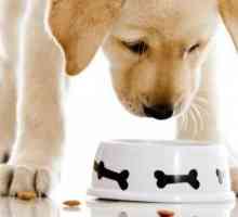 Biomil pentru câini: compoziție, beneficii