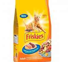 Alimente pentru pisici `Friskis`: recenzii și sfaturi