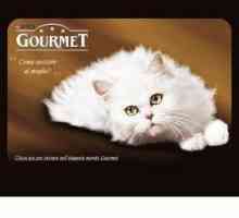 Gourmet hrana pentru pisici - trateaza pentru animalele de companie