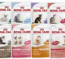 Alimente pentru pisici `Royal Kanin`: compoziție și recenzii