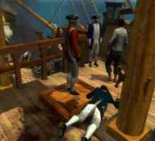 `Corsairs: Povestea piraților `: trecerea campaniilor franceze și olandeze