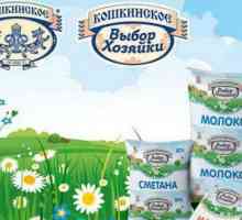Koshkinskoye lapte: caracteristici, producător și comentarii