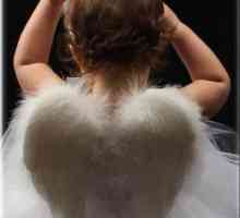 Costumul unui înger pentru o fată cu mâinile ei. Cum de a crea o imagine originală pentru o…