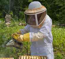 Costumele apicultorului: Principalele caracteristici