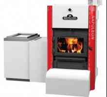 Cazane combinate de încălzire (lemn de foc + energie electrică): caracteristici și caracteristici