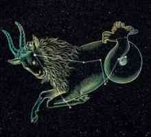 Capricorn: element al zodiacului
