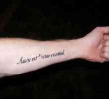Tatuaj frumos, cu o inscripție pe mână, cu o traducere (mascul și feminin)