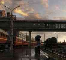 Krasnodar - Moscova: distanța, costul biletelor la tren