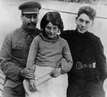 Biografie scurtă a lui Vasili Stalin