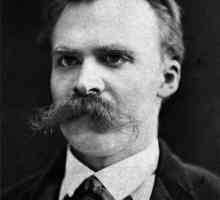 Nietzsche`s Short Philosophy: Concepte de bază și caracteristici specifice