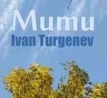 Rezumat al IS "Mumu` Turgenev
