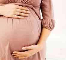 Cremă pentru vergeturi în timpul sarcinii: recenzii. Evaluarea cremelor din vergeturile
