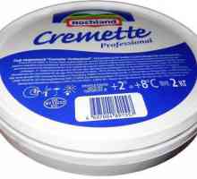 Kremete - brânză pentru multe feluri de mâncare