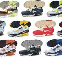 Pantofi Nike Air Max - încălțăminte perfectă pentru sport