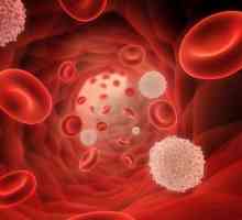 Sângele aparține țesutului de ce și de ce?